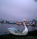 山中湖_b0008655_18242378.jpg
