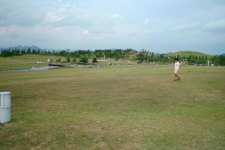 a0012665_16471590.jpg