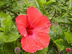 b0019567_11690.jpg