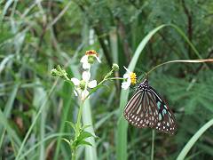 b0019567_13071.jpg