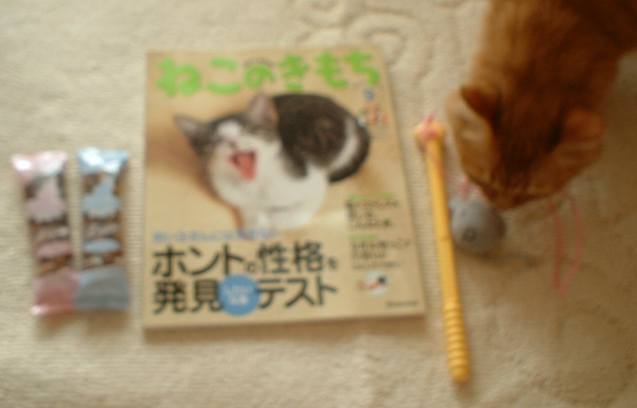 ねこのきもち_c0033070_13495063.jpg