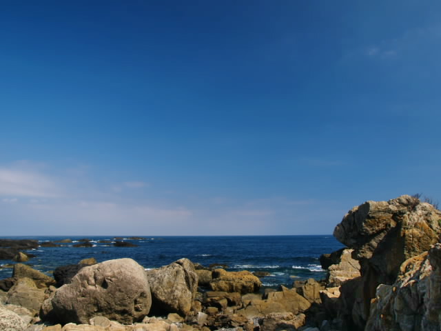 c0050380_23574.jpg