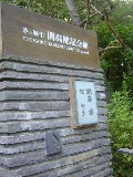e0016135_1051572.jpg