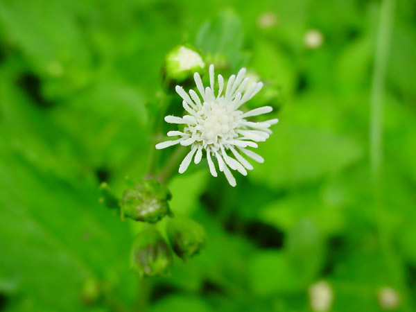 c0047341_10245984.jpg