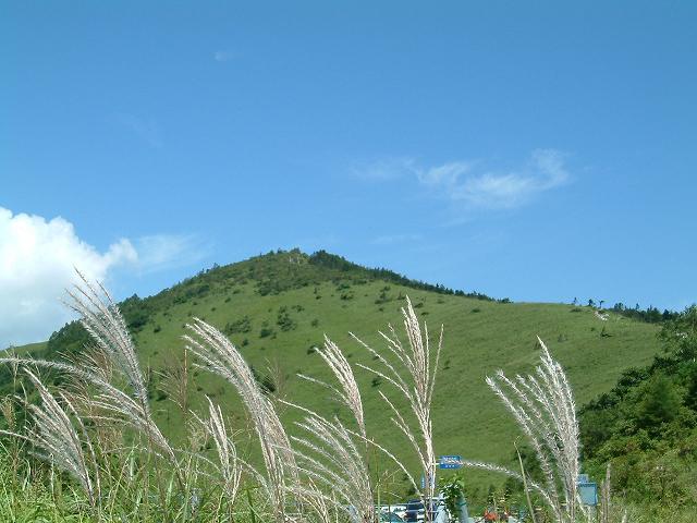b0070657_1752983.jpg