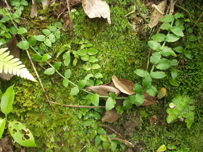 b0019567_12275239.jpg
