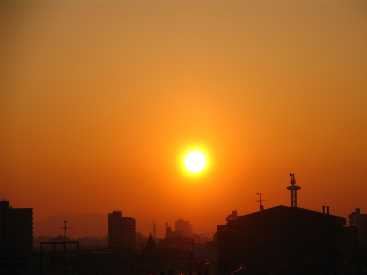 c0030874_83444.jpg