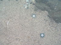 e0008674_23181860.jpg