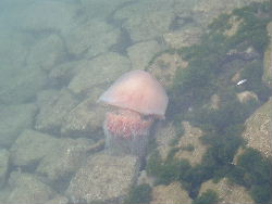 e0008674_23195047.jpg