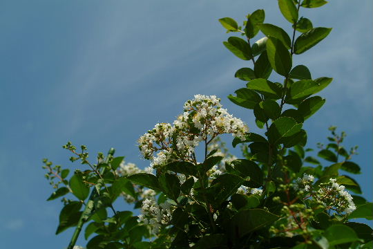 b0027880_17223323.jpg