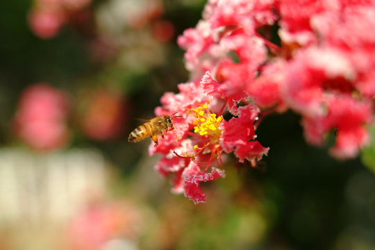 b0027880_17224783.jpg
