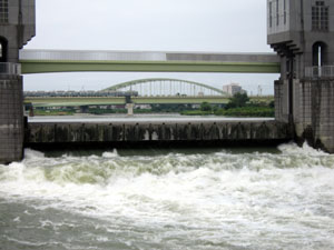 c0044897_7473264.jpg
