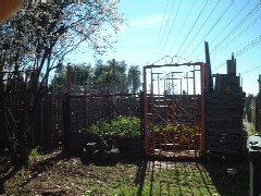 c0053898_12171695.jpg