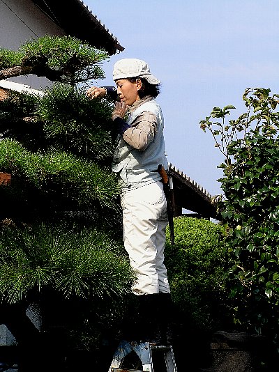女性庭師 日々の思いを