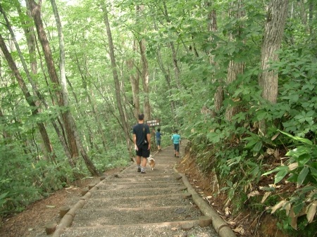c0065512_00411.jpg