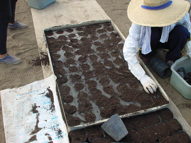e0061924_14362416.jpg