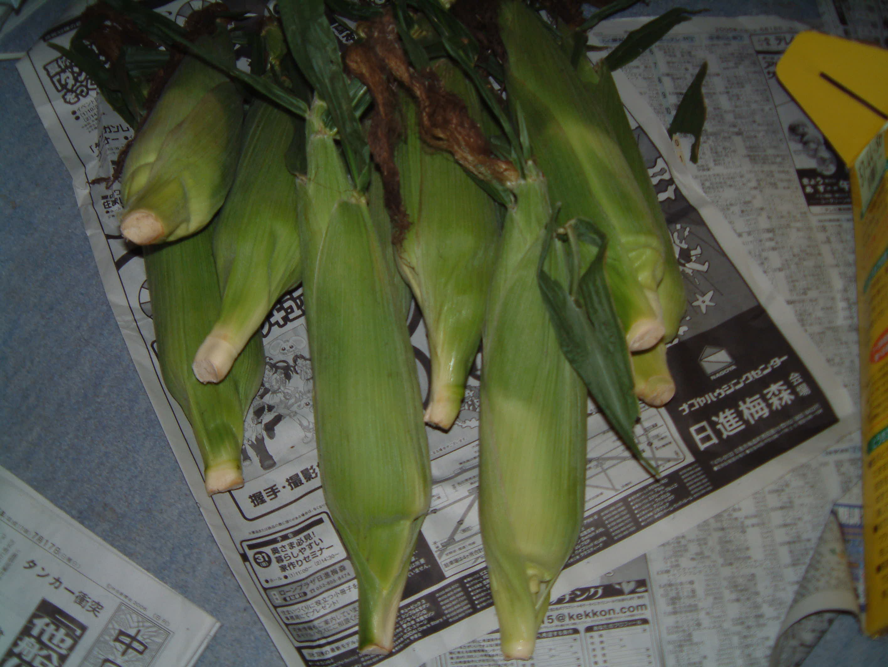 e0024126_1847121.jpg
