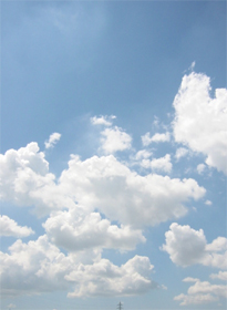 d0040729_81772.jpg