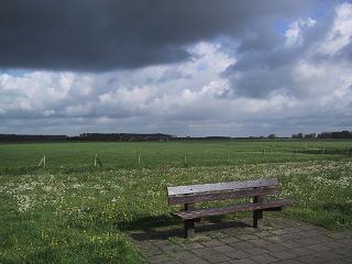 d0066341_2305833.jpg