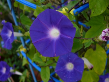 b0024266_061352.jpg