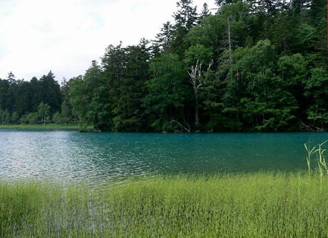 b0068572_23215812.jpg
