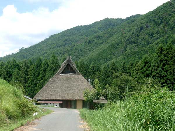 花脊初秋_e0048413_2050748.jpg
