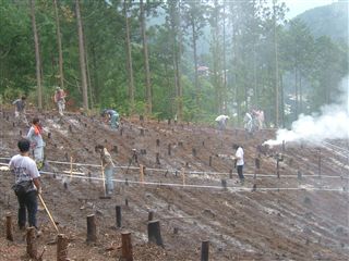 e0002820_1637748.jpg