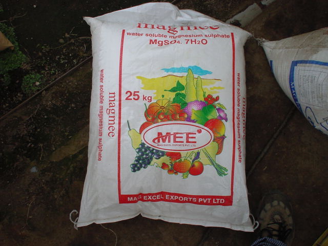 e0061924_1265311.jpg