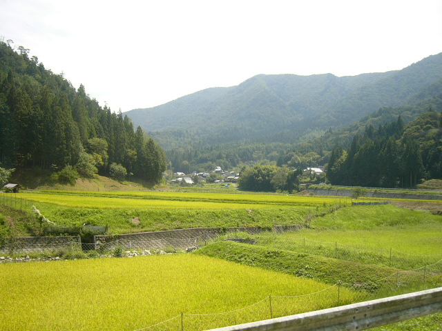 b0031429_15353031.jpg