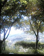b0052149_2132611.jpg