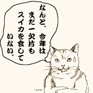 a0001756_21175197.gif