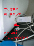 b0045759_23331566.gif