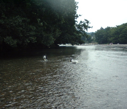 d0050290_1144140.jpg