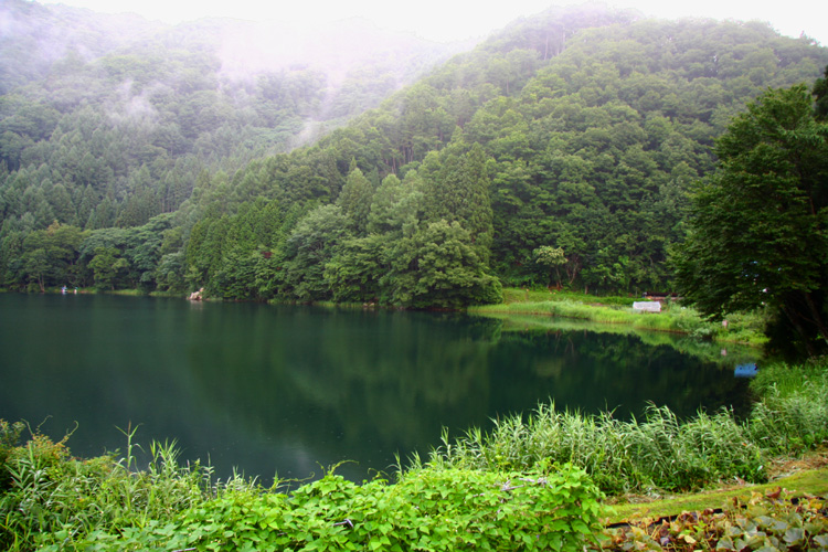c0032494_7069.jpg