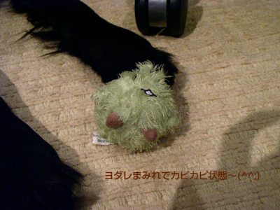 c0012120_11583.jpg