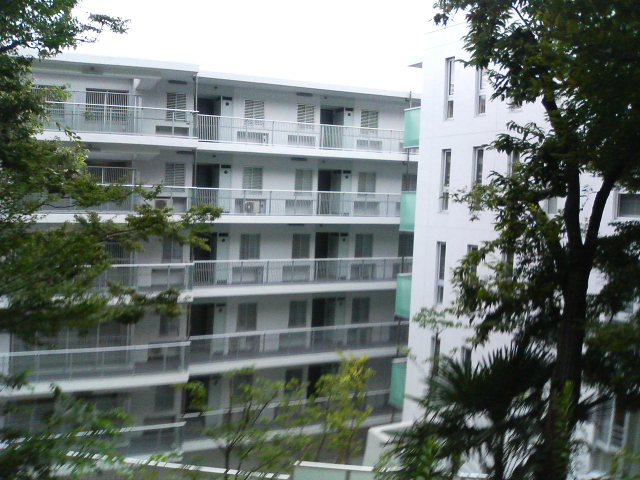 a0028731_05289.jpg