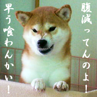 b0057675_8303790.jpg