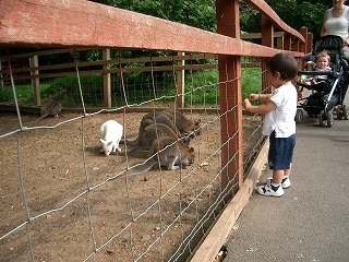 動物園へGO！_b0060111_554276.jpg