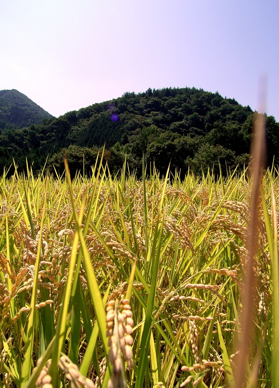 山ヤの血が沸騰する〜出撃_b0029315_0213753.jpg