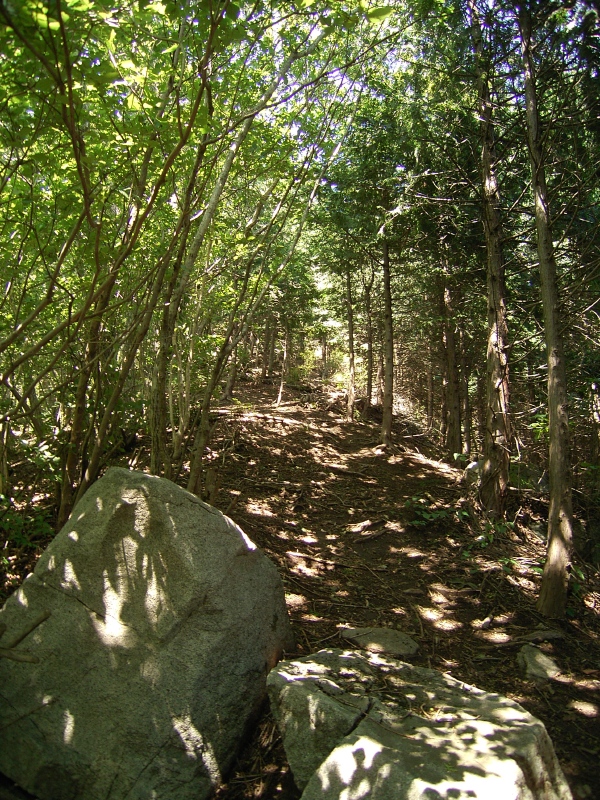 山ヤの血が沸騰する〜出撃_b0029315_0303731.jpg