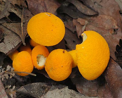 e0035757_2295590.jpg