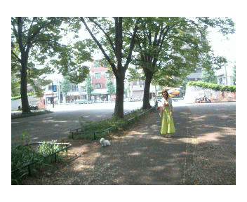 d0000559_19323641.gif