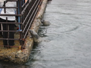 c0057381_21464569.jpg