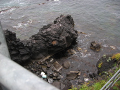 c0057381_21551570.jpg