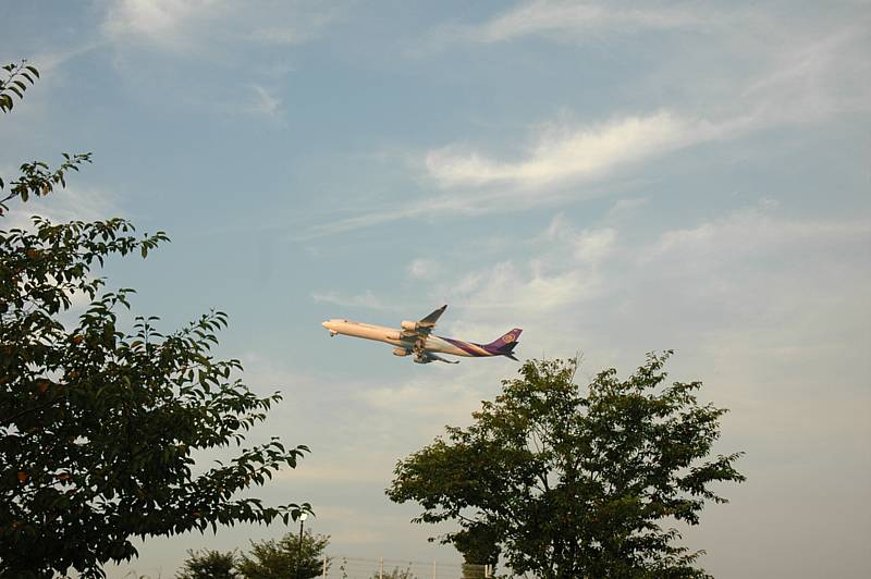 c0075585_14161295.jpg