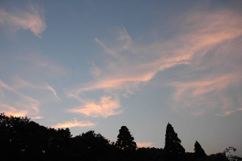c0075585_14182414.jpg