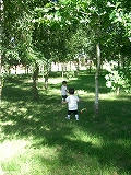 b0060111_4535751.jpg