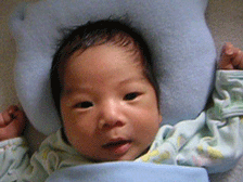 b0026822_4234812.gif