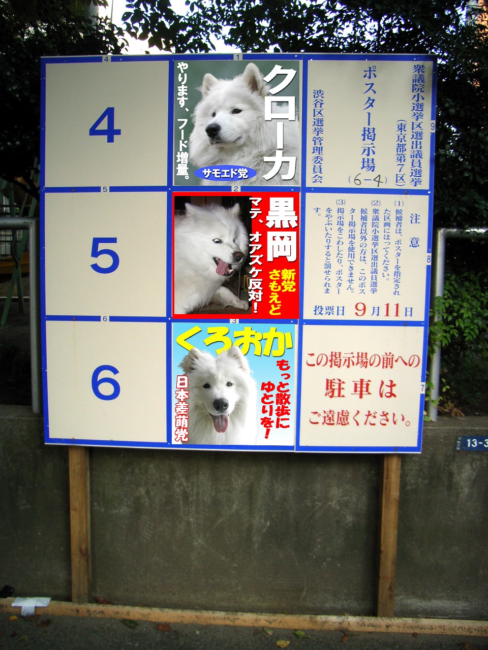 選挙 Elezioni Politiche サモエド クローカのお気楽日記 選挙 Elezioni Politiche サモエド クローカのお気楽日記