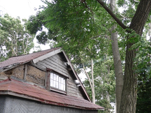 b0068572_19365083.jpg